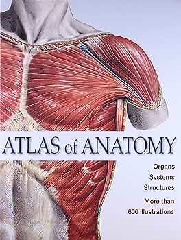 Atlas of Anatomy Organs Systems Structures: 9789380070964